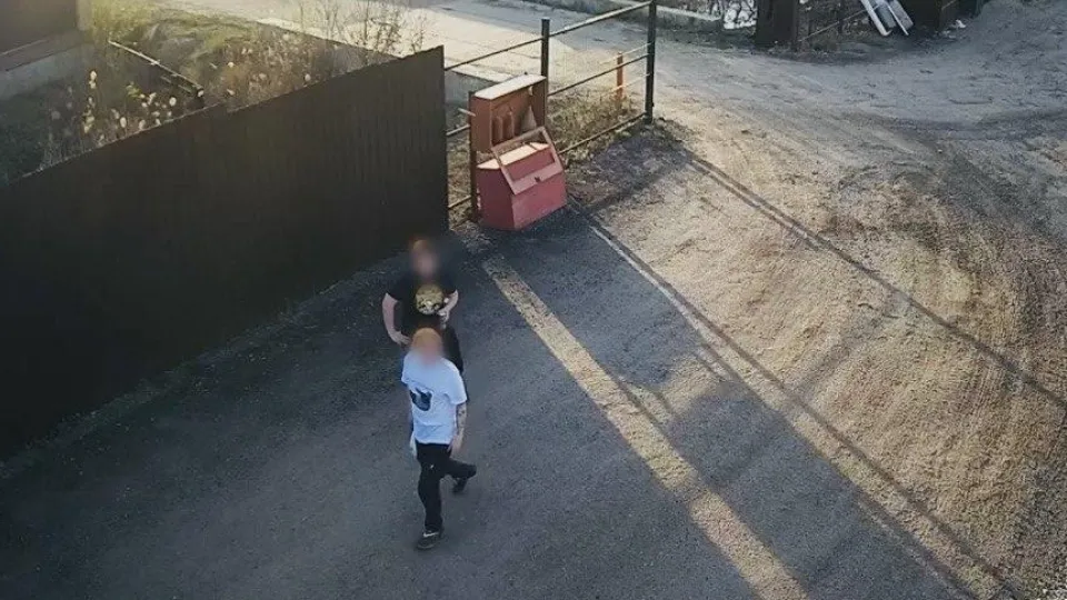 Фото: Комитет лесного хозяйства Московской области