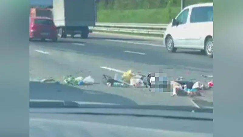 Девушка поплатилась жизнью из-за аварийной остановки на трассе М4