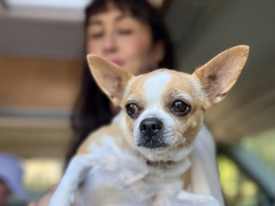 Фото: МедиаБанк Подмосковья/Анна Тюрюмина