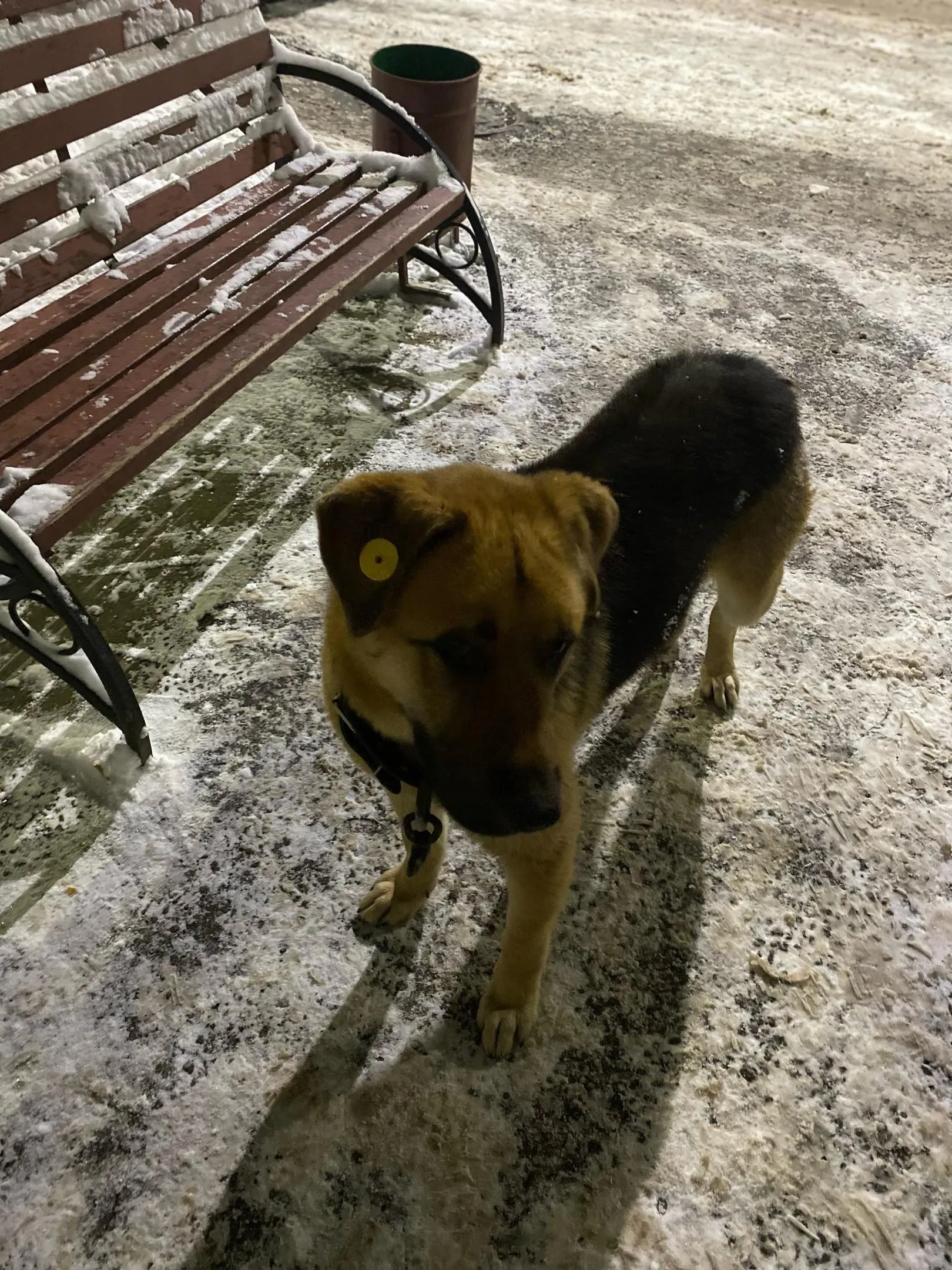 Фото: Подслушано на Глебовке (новая) / ВКонтакте