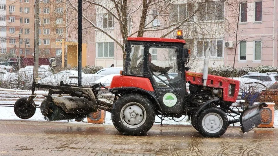 Фото: Мария Шигорева
