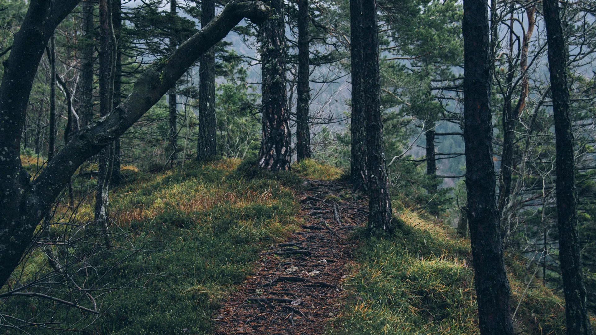 Фото: ru.freepik.com