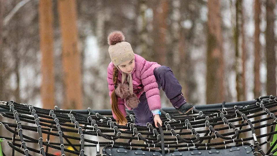 Фото: Министерство благоустройства Московской области