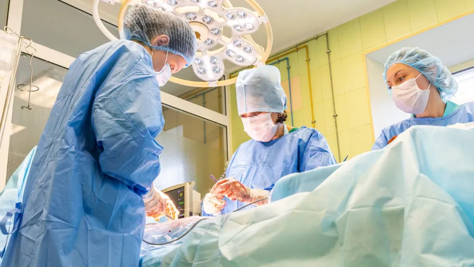 Фото: Министерство здравоохранения Московской области