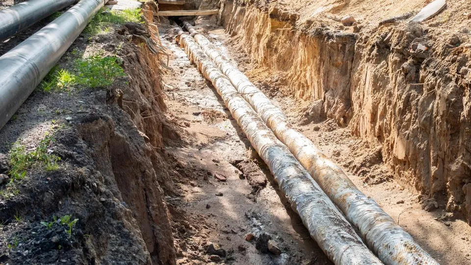 Фото: Александр Щербаков