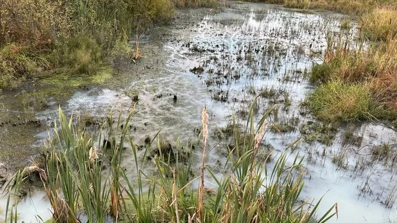 Минэкологии МО.