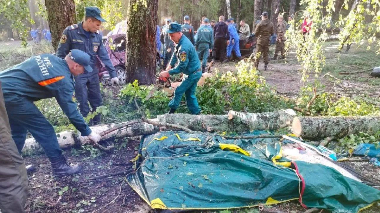 В Марий Эл восемь туристов погибли из-за урагана