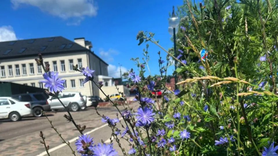 Фото: t.me/vklinivaysa