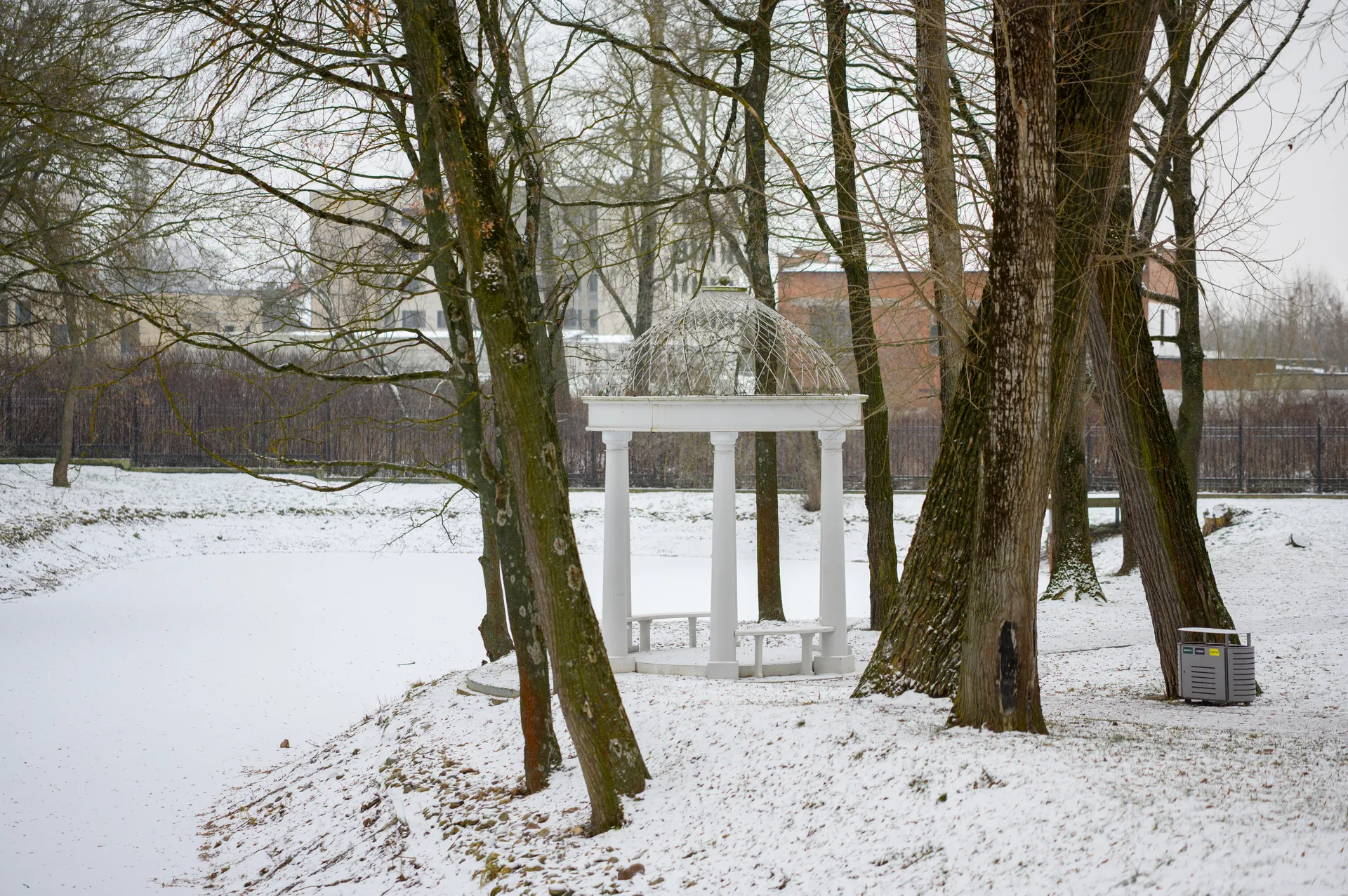 Зима в парке усадьбы Кривякино в Воскресенске