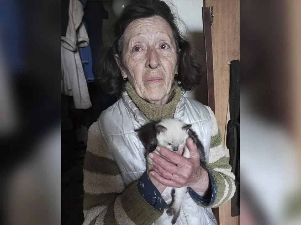 Волонтеры рассказали, как спасают брошенных животных из зоны СВО и привозят их в Подольск
