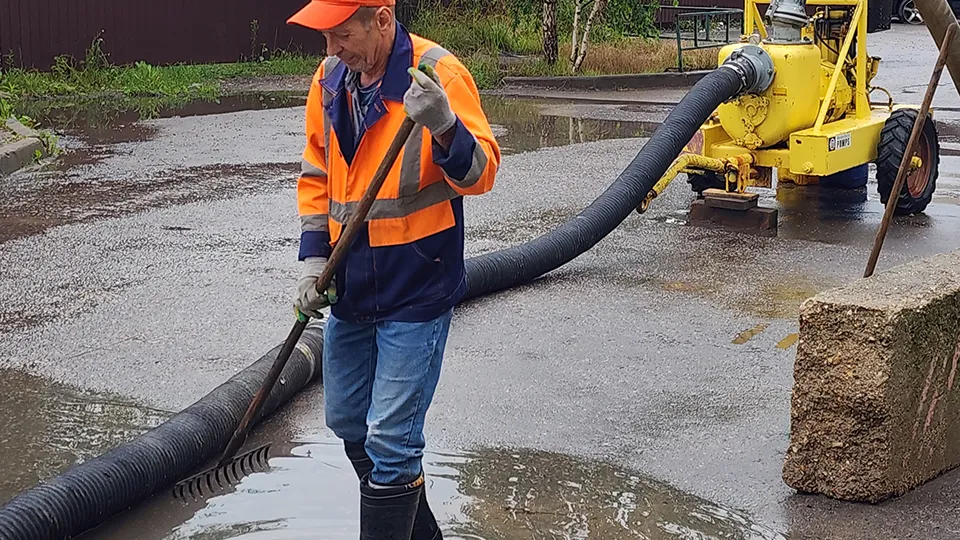 Фото: Хавива Фонина