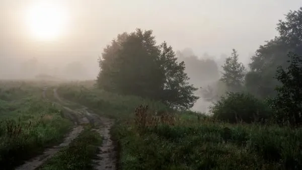 В ночь на воскресенье в столичном регионе ожидается туман