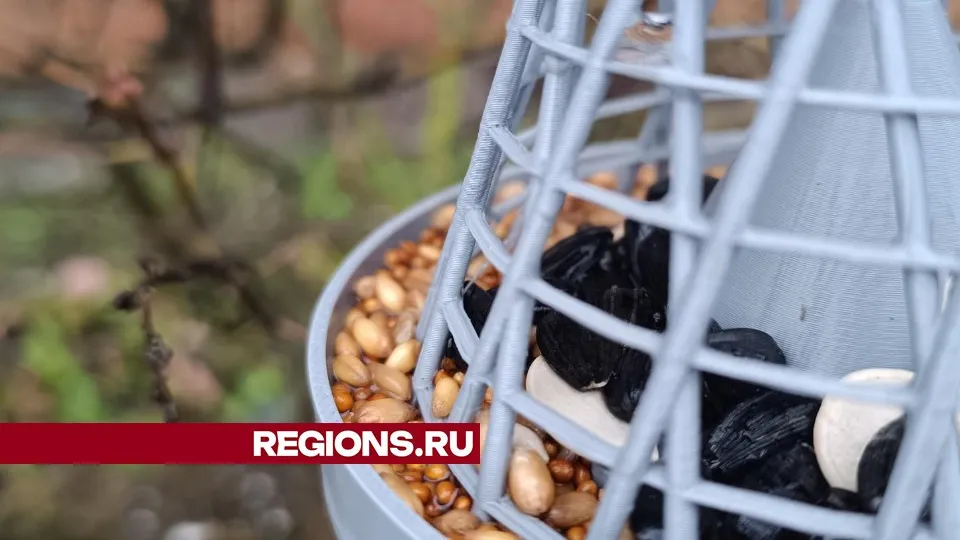 Фото: Екатерина Дятловская