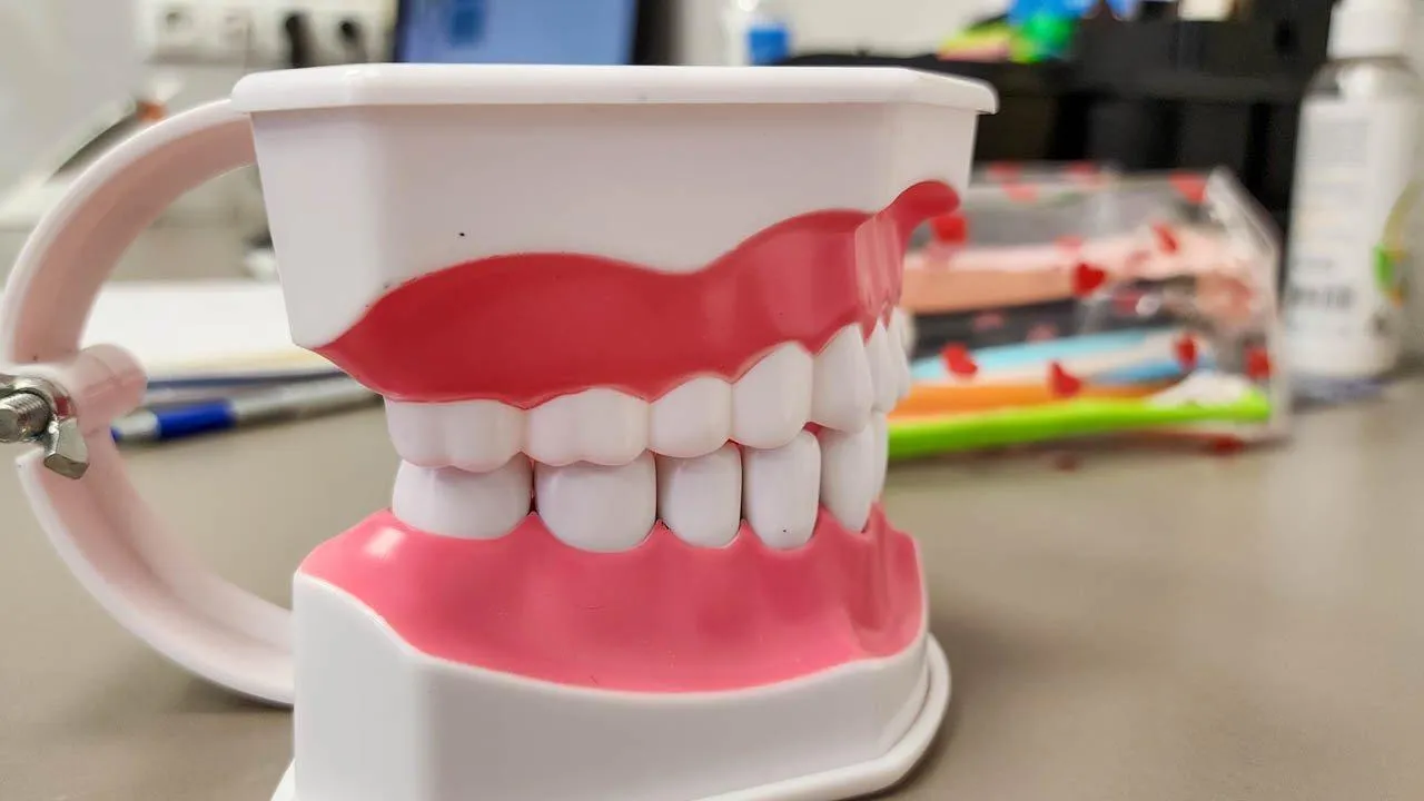 REGIONS/Наталия Надточая