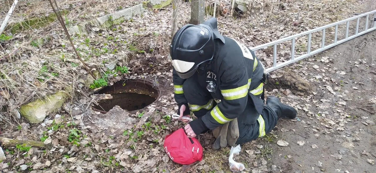 ГКУ МО «Мособлпожспас»