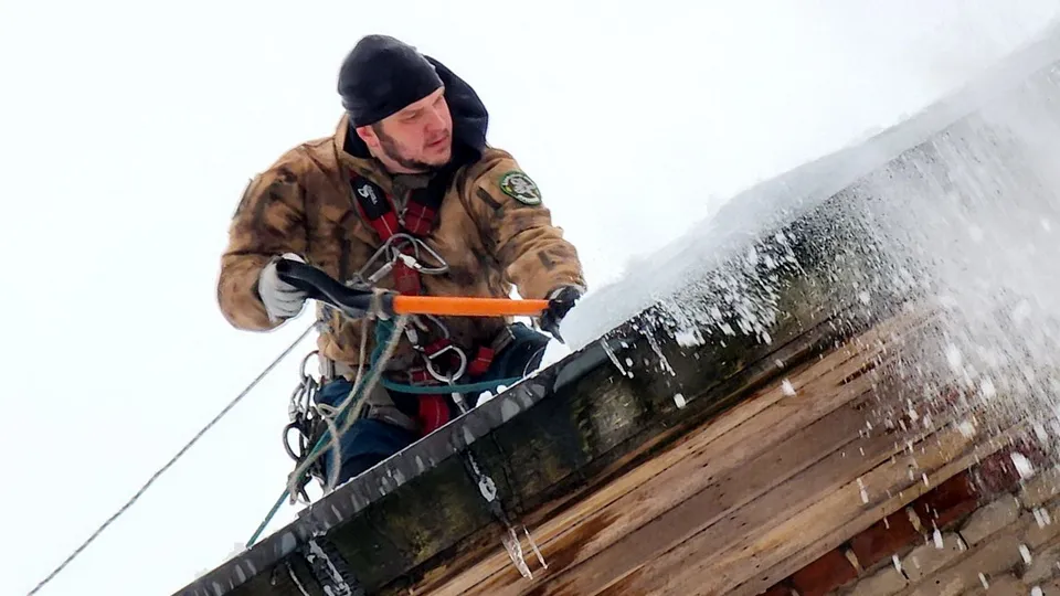 Фото: REGIONS/Ольга Аввакумова