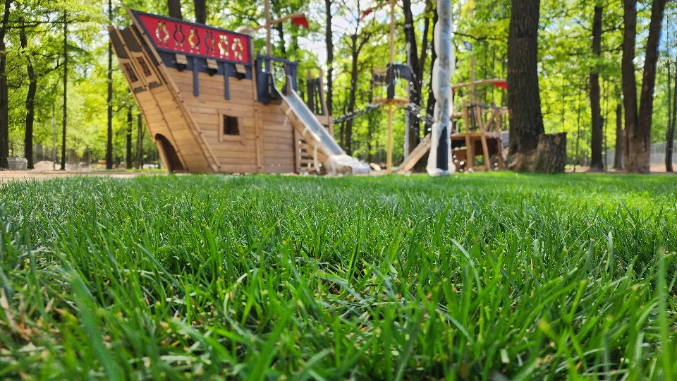 Фото: Мария Шигорева