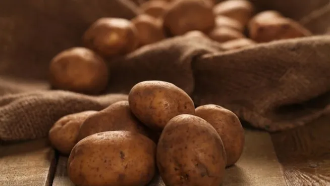 Фото: ru.freepik.com