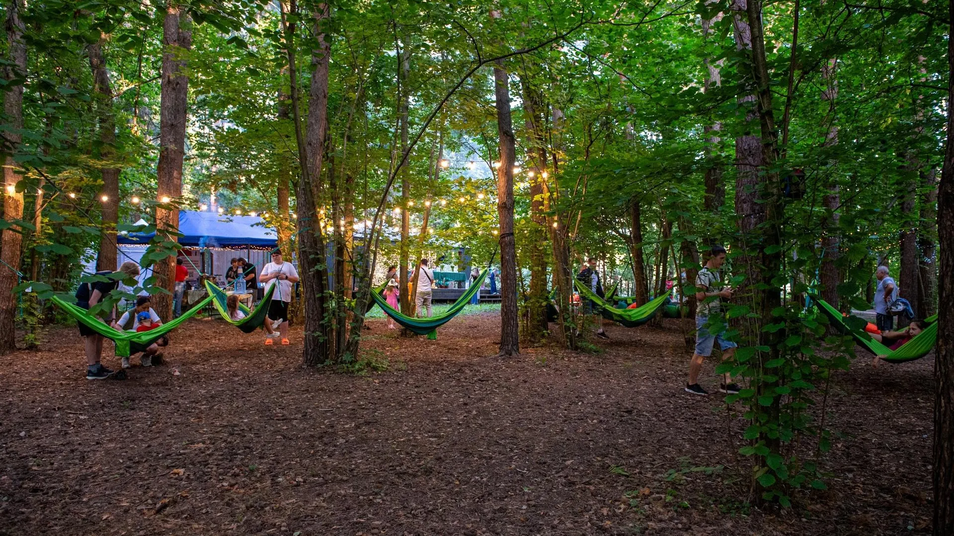 Фото: Министерство благоустройства МО