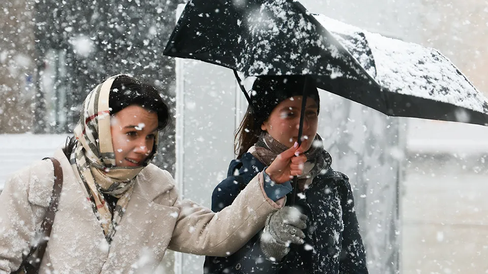 Фото: ТАСС/Владимир Смирнов