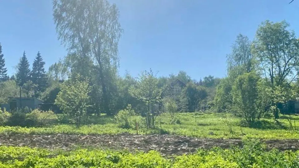 Фото: Мособлархитектура