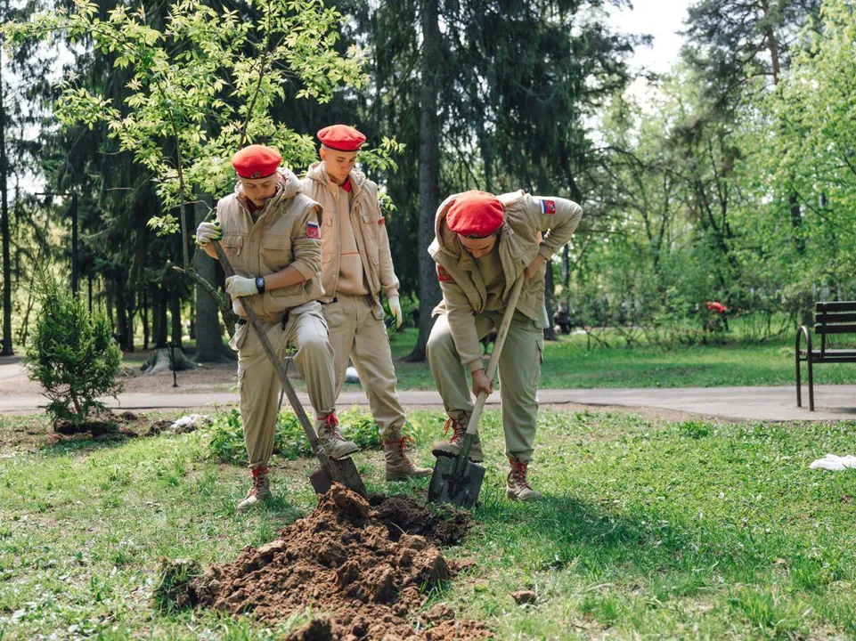 Фото: пресс-служба администрации г.о. Щелково