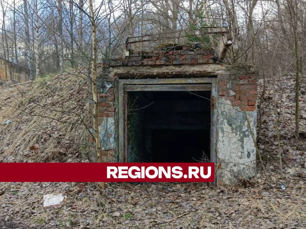 Фото: Евгений Рой