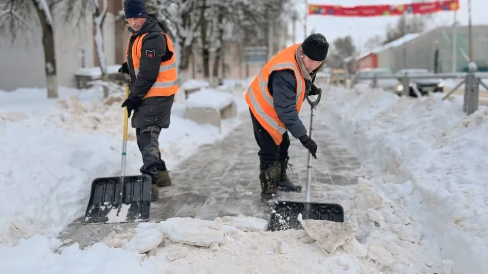 Фото: администрация Волоколамского округа