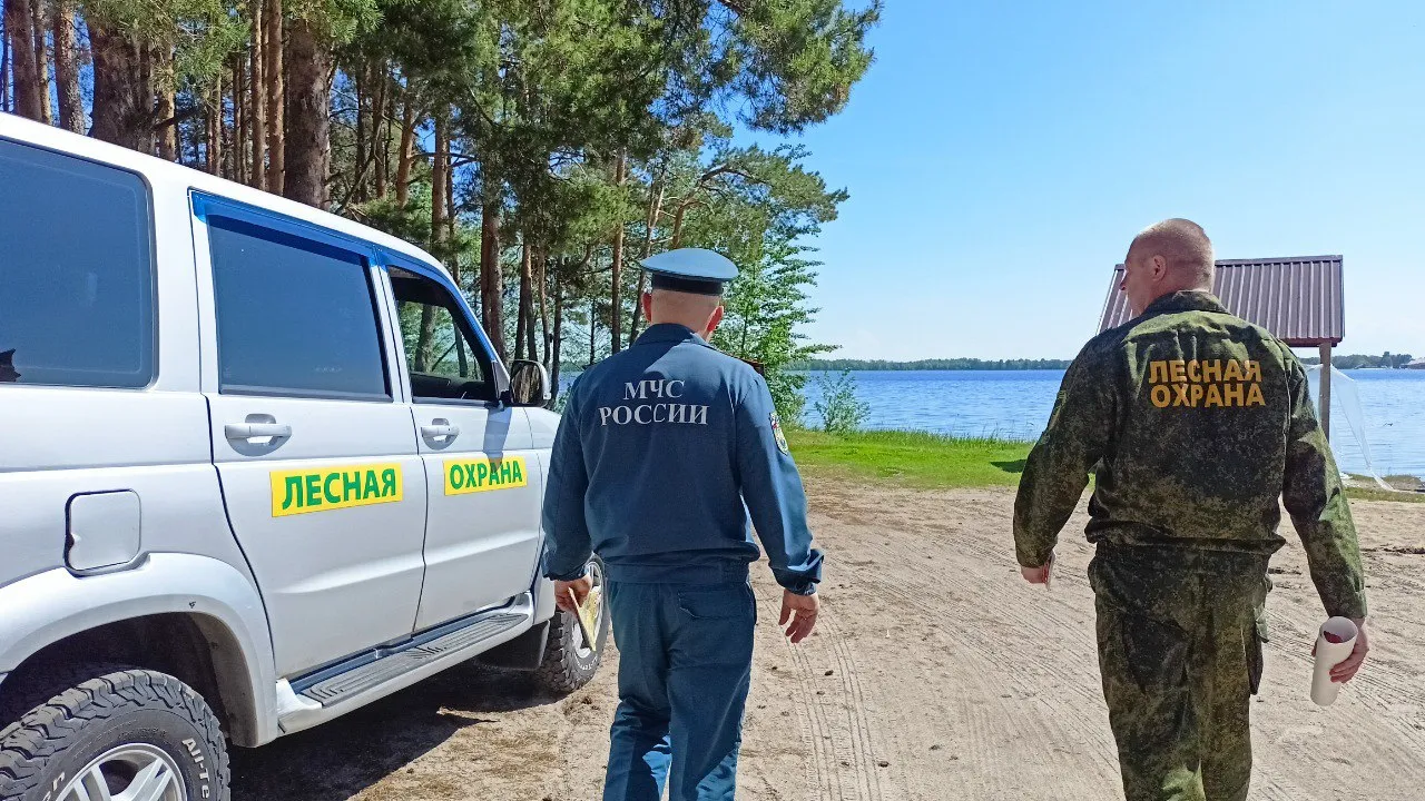 Фото: Комитет лесного хозяйства Московской области