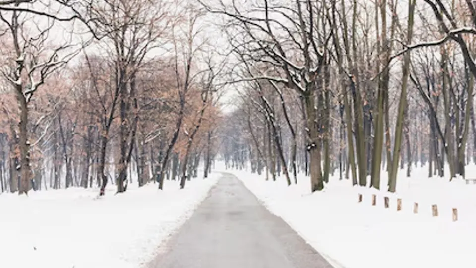 Фото: freepik.com