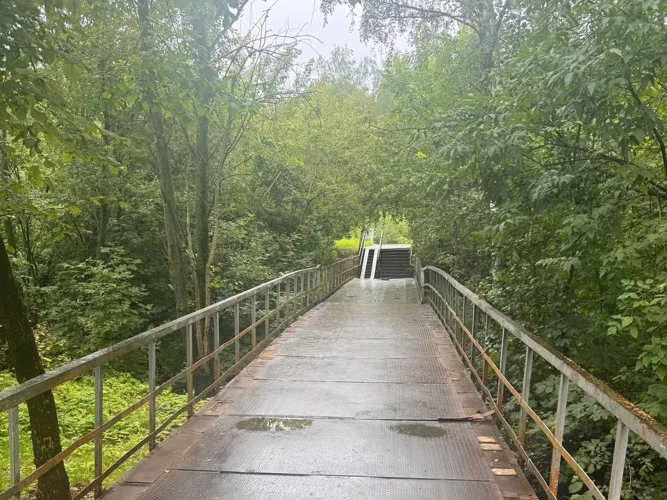 Фото: пресс-служба Администрации городского округа Королев