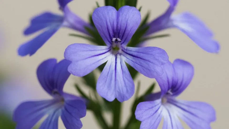 Фото: REGIONS/Сгенерировано нейросетью