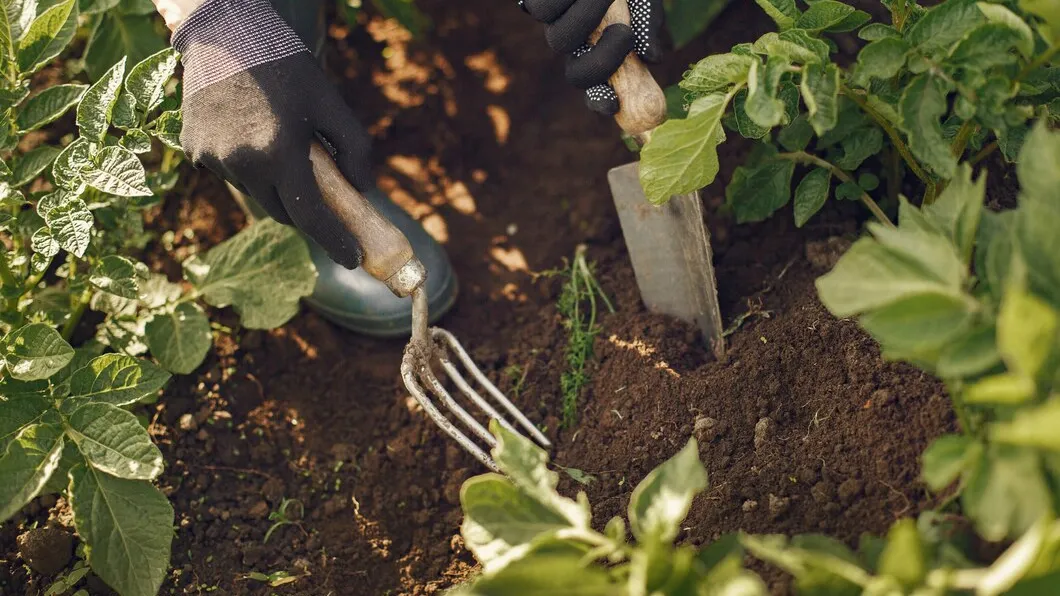 Фото: freepik.com