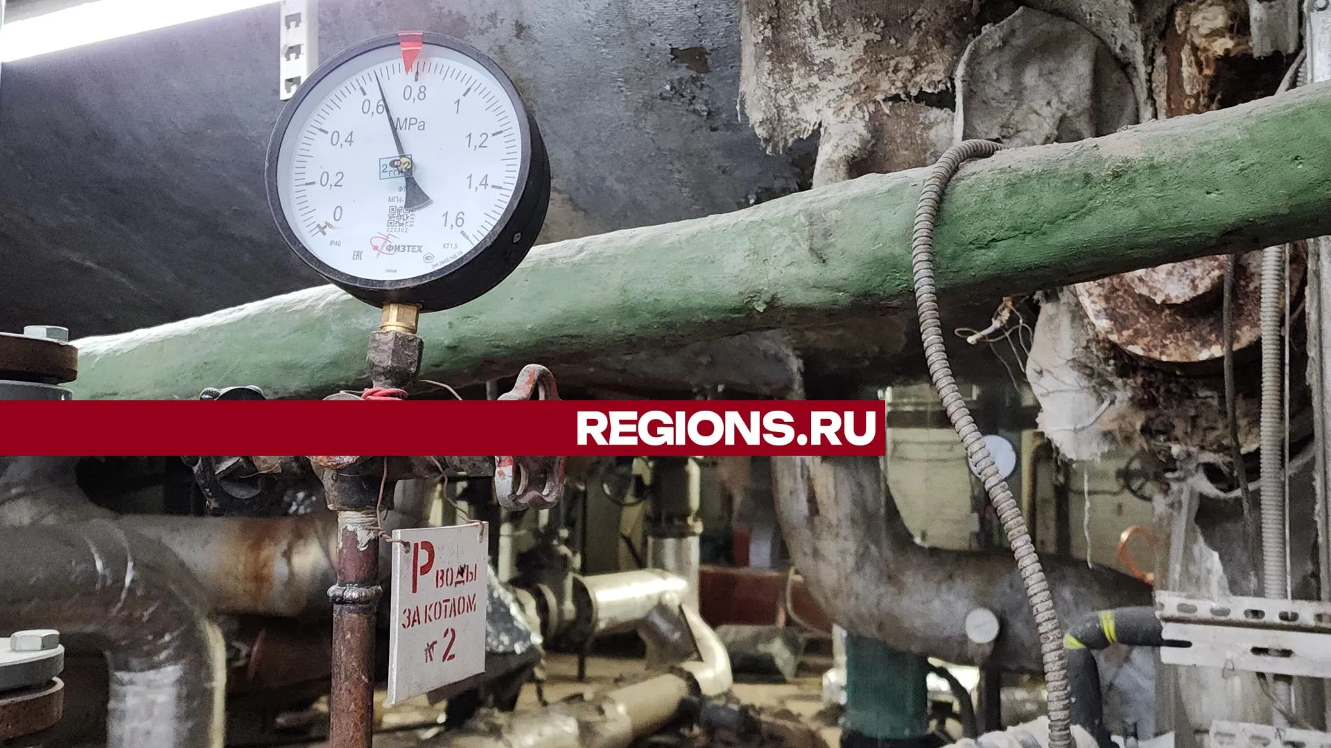 Фото: Нина Басистая