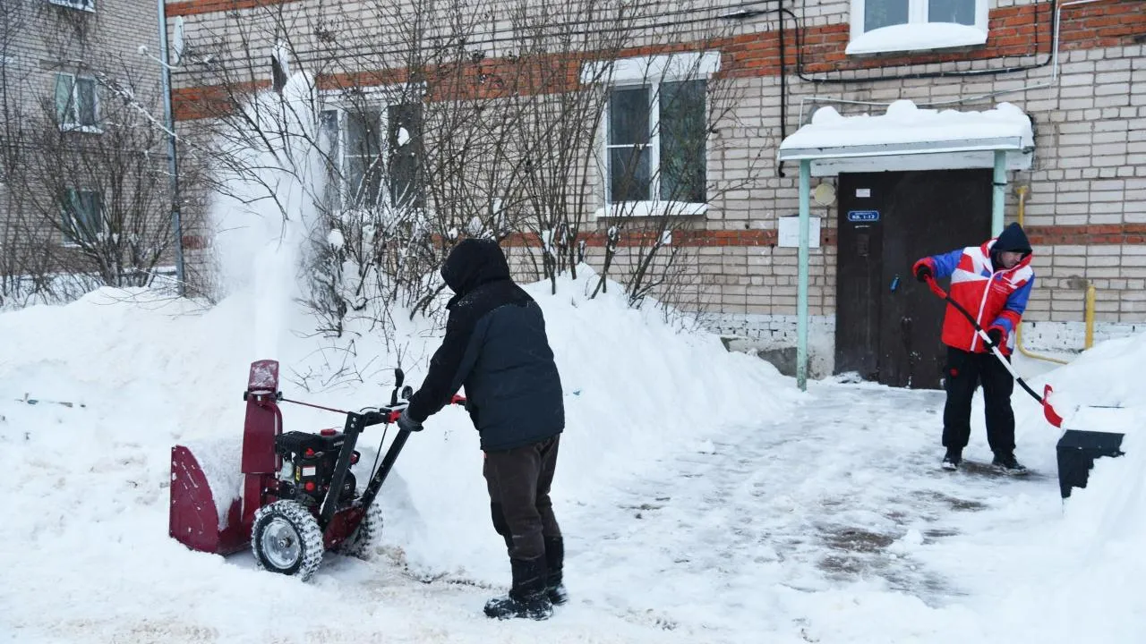Владимир Останин