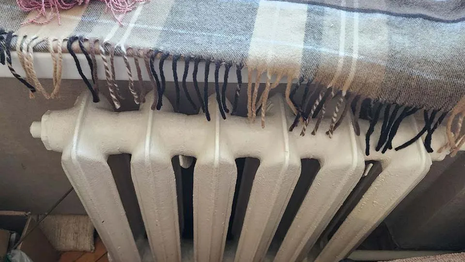 Фото: МедиаБанк Подмосковья/Ксения Казакова