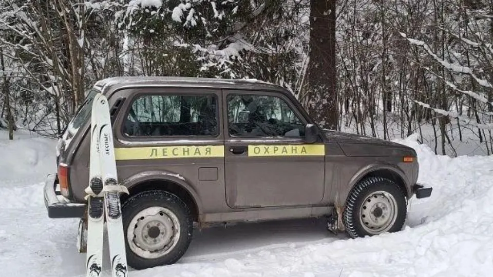 Фото: Комитет лесного хозяйства Московской области