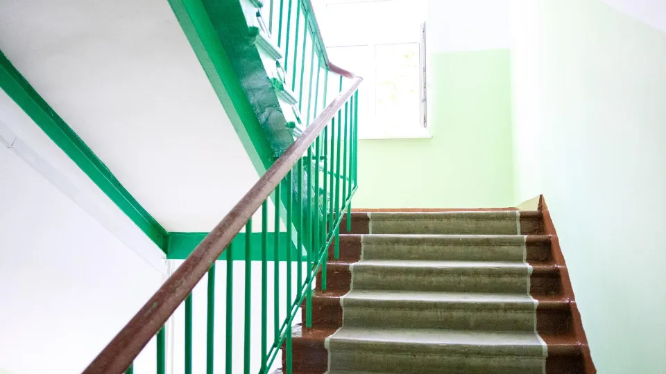 Фото: пресс-служба администрации г.о. Лыткарино