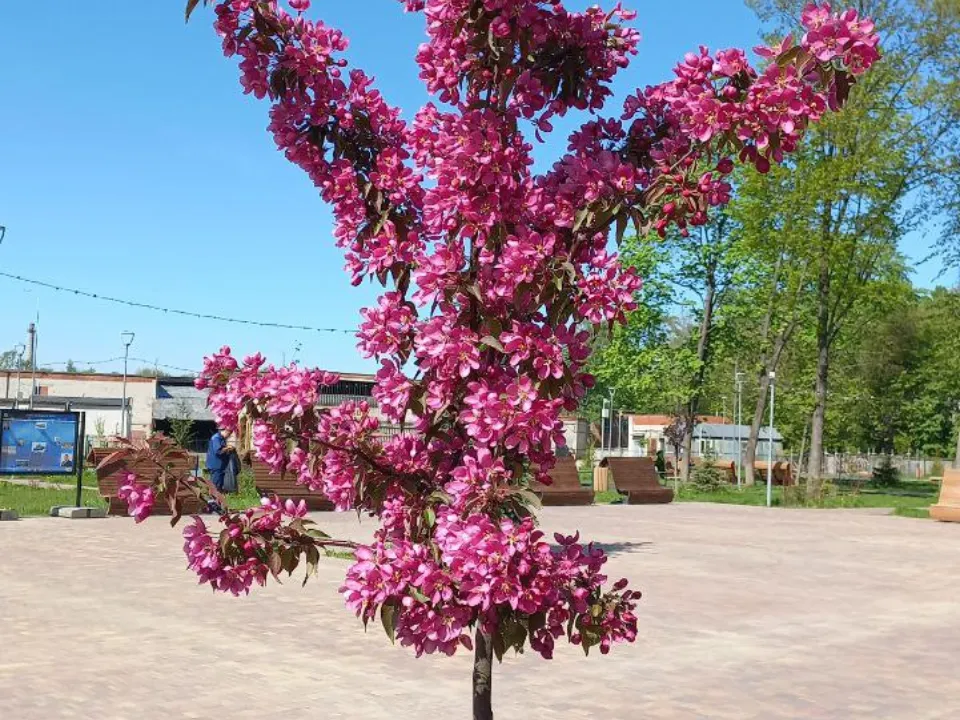 Фото: REGIONS/Олег Книжник