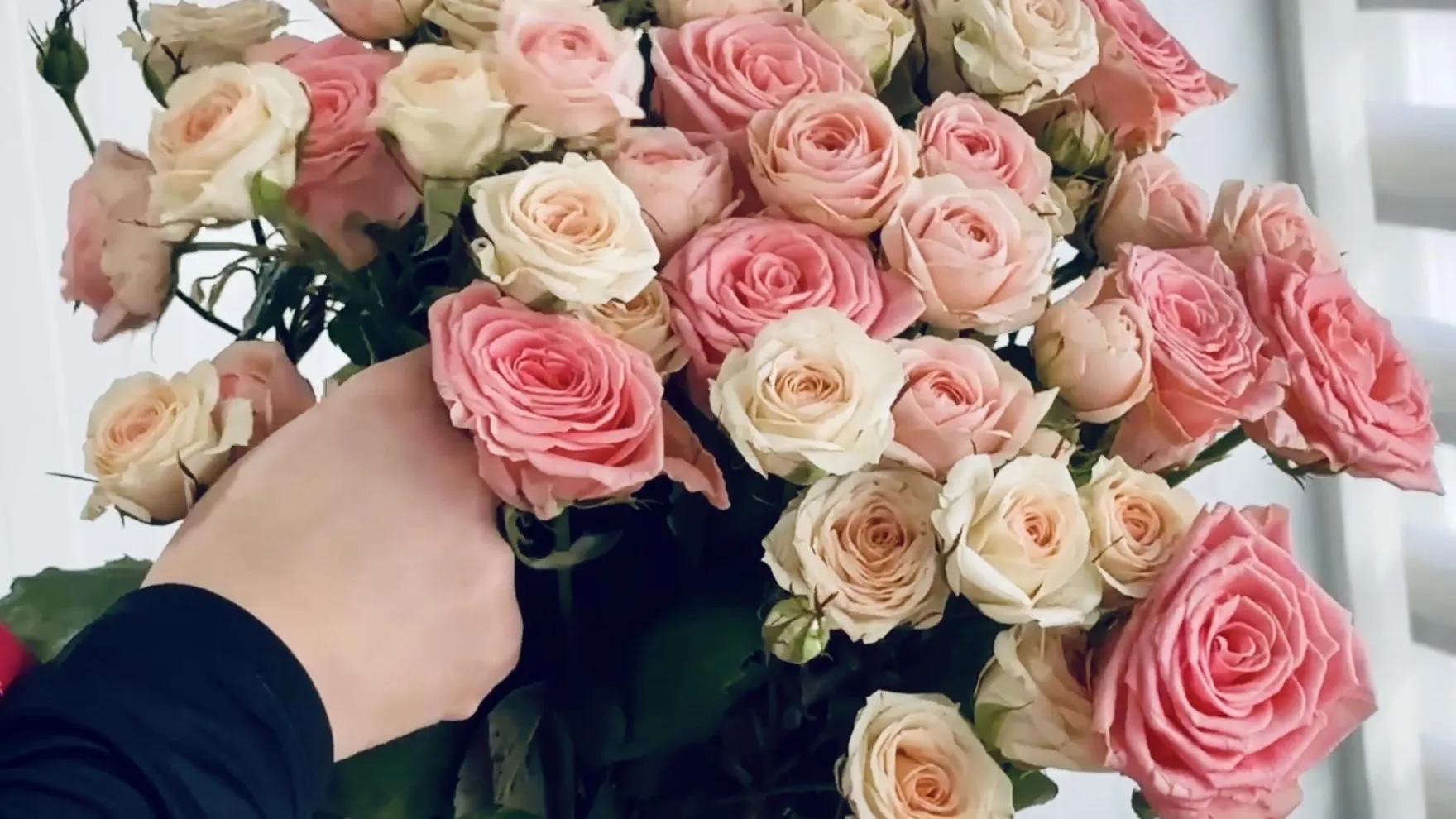 Фото: Ольга Стаферова