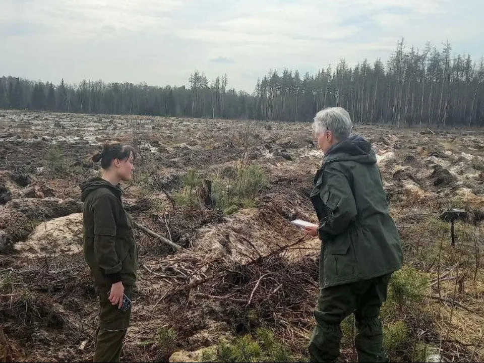 Фото: Орехово-Зуевский филиал ГАУ МО «Мособллес»