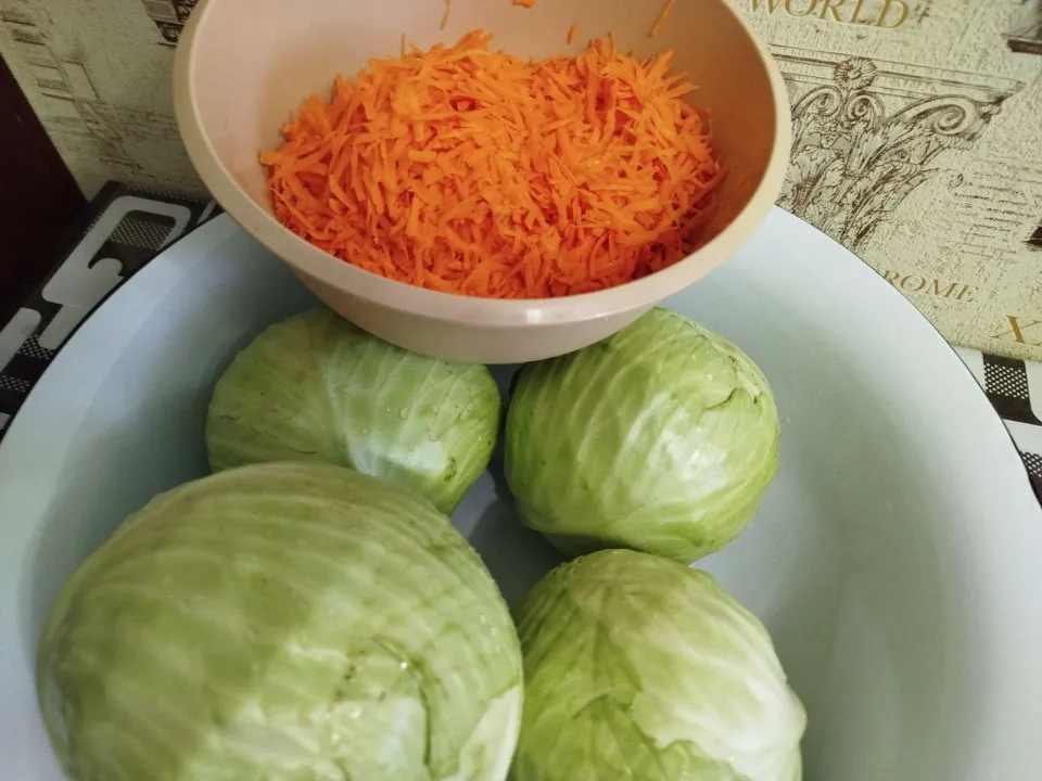 Фото: REGIONS/Юлия Куделькина