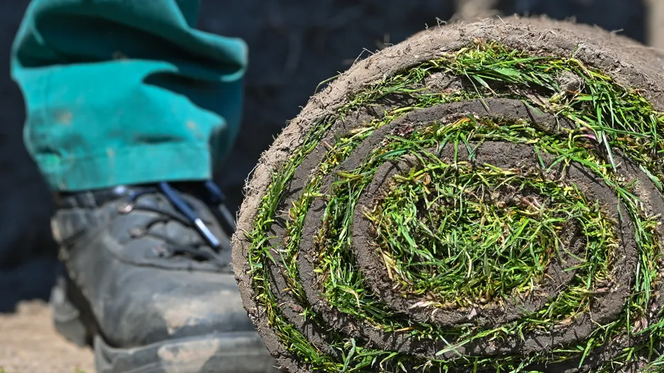 Фото: ТАСС/DPA/Picture-Alliance/Patrick Pleul