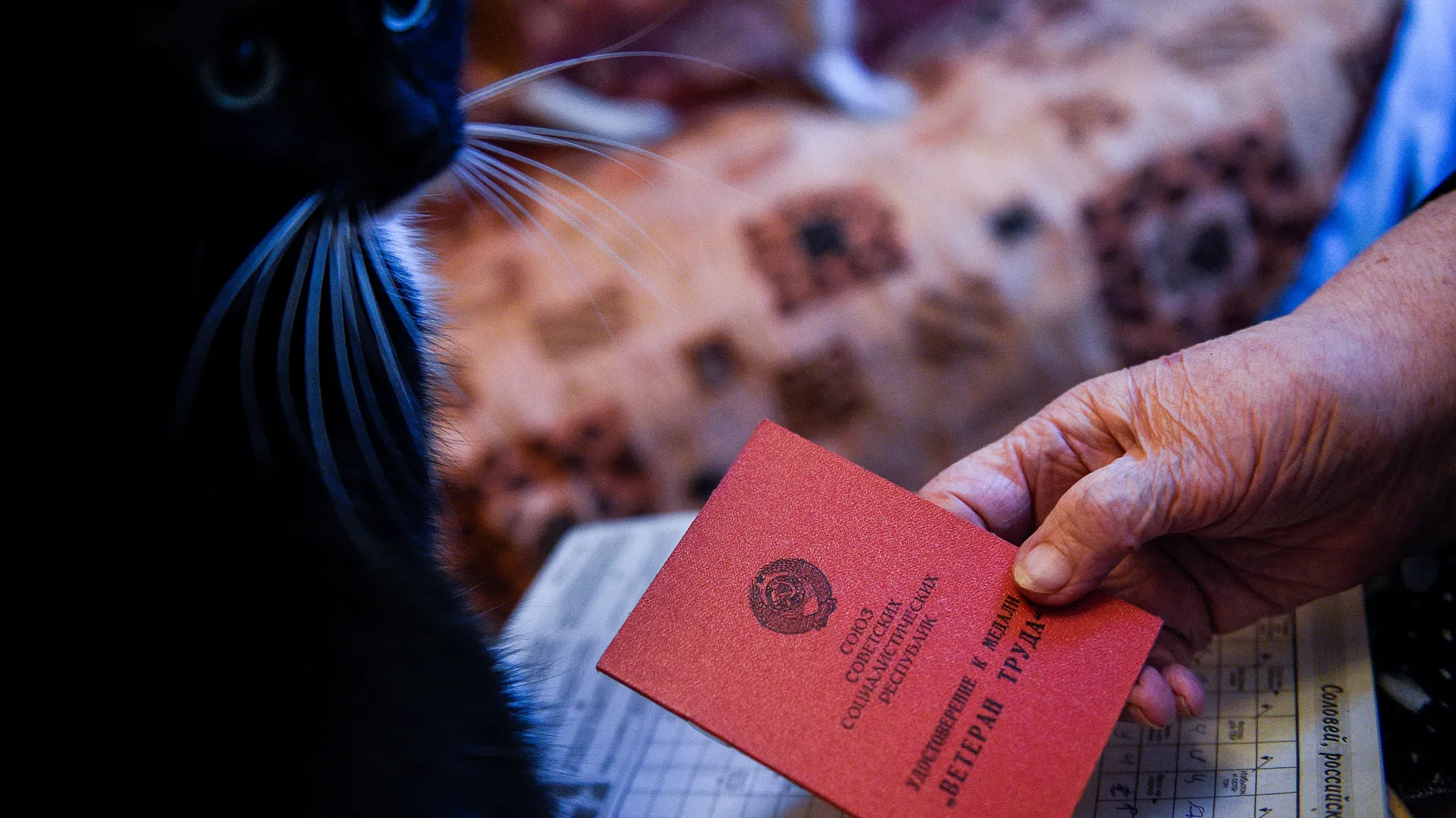 Соцопрос как инструмент: что на самом деле хотят узнать о пенсионерах