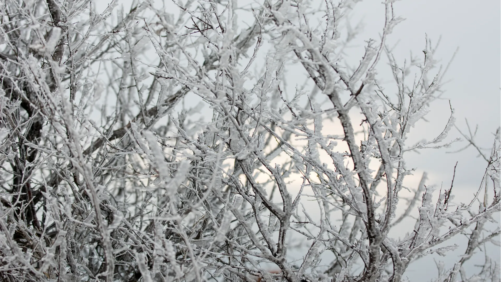 Источник: ru.freepik.com