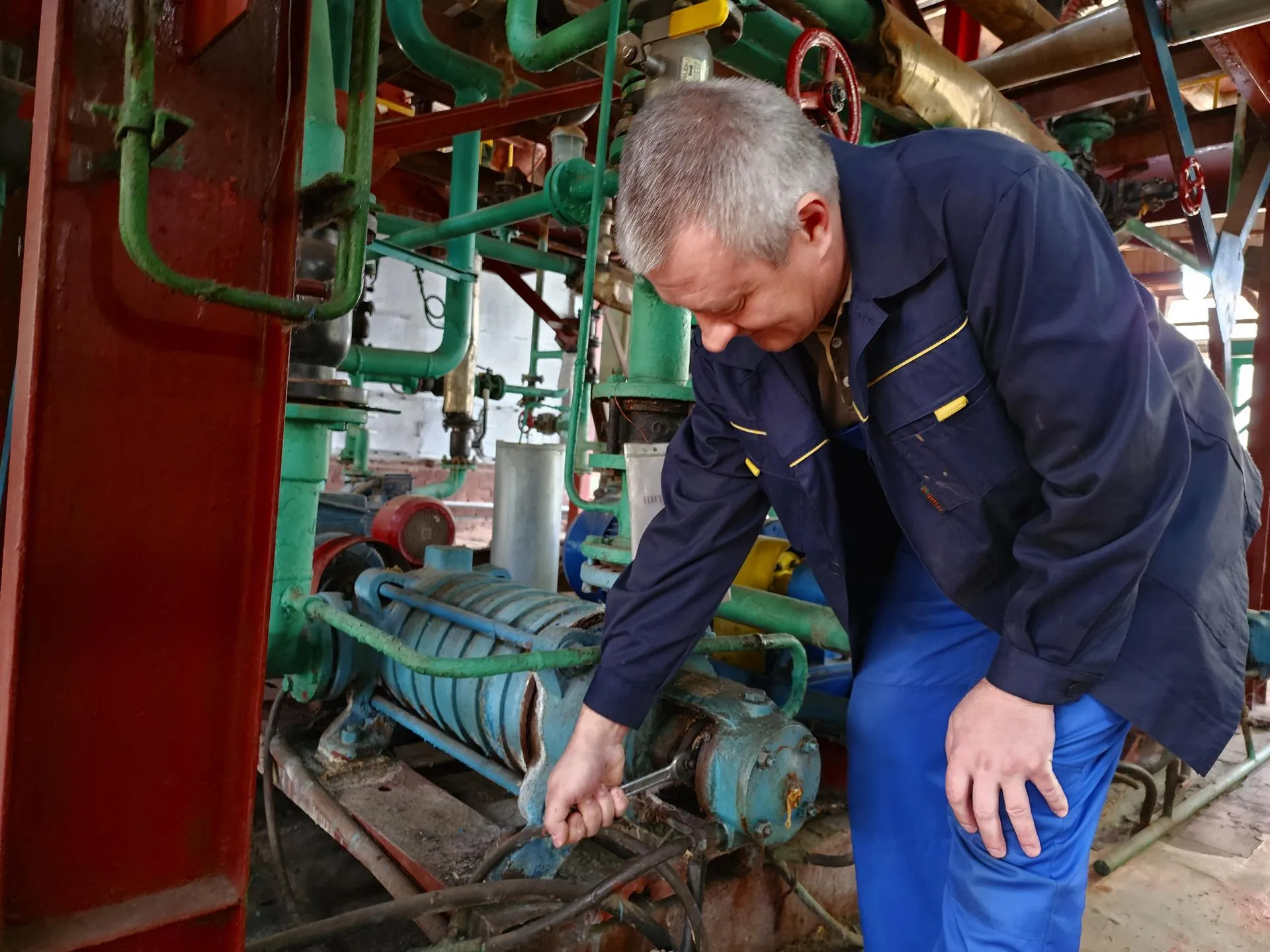 Фото: Анна Тюрюмина&nbsp; &nbsp; &nbsp;&nbsp;