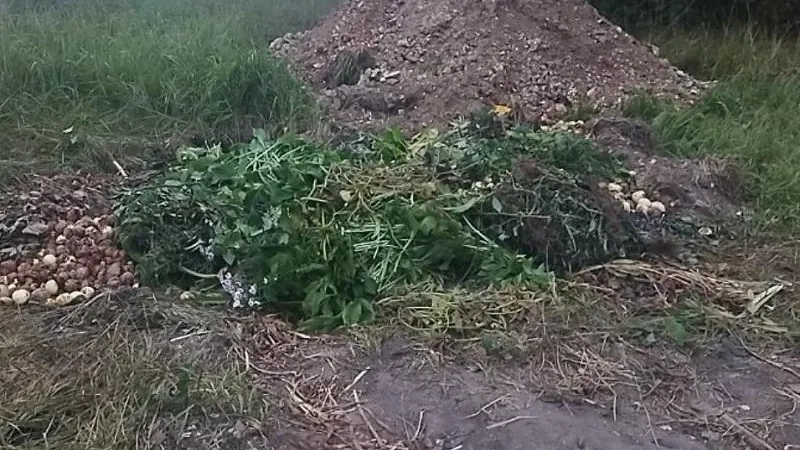 Минэкологии МО.