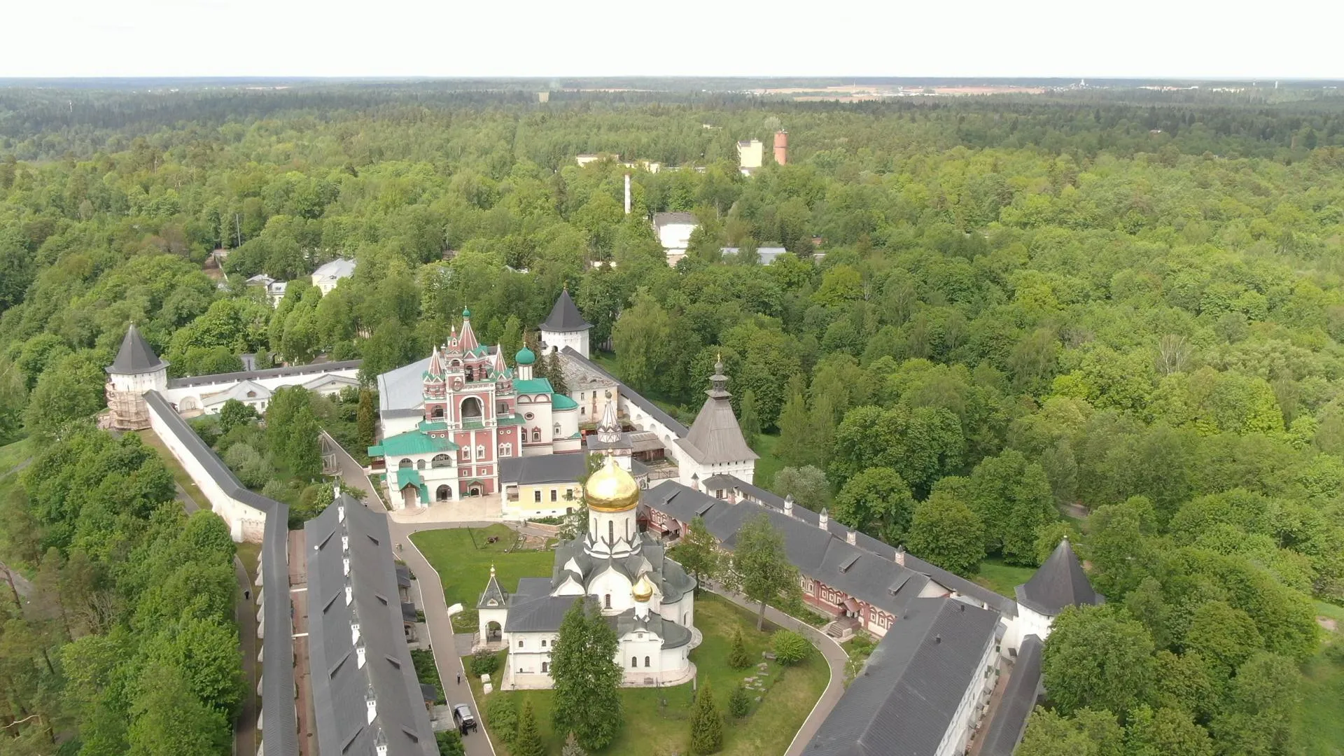 Дарья Московцева