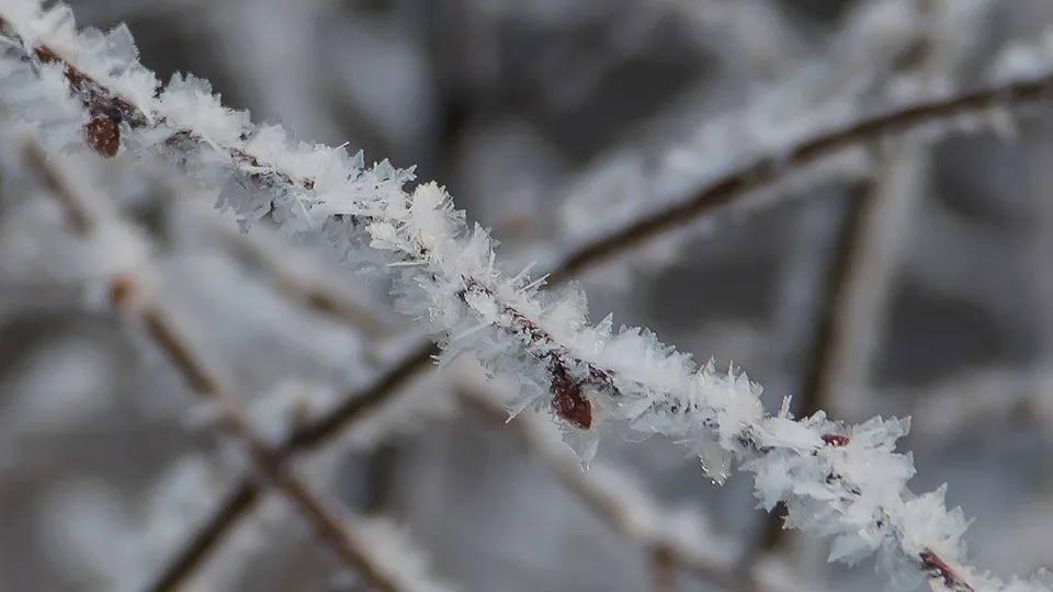 Фото: Антон Кондратюк