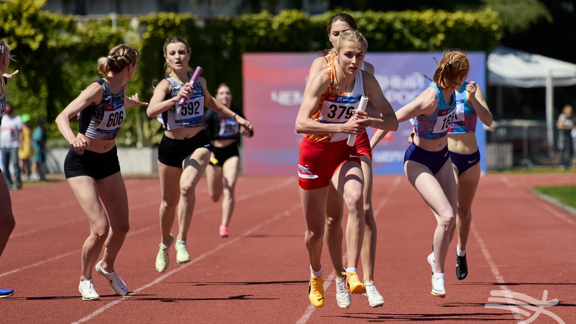 Фото: Всероссийская федерация легкой атлетики